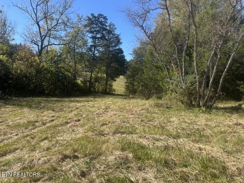 Tiny photo for 0 McGinnis Road, Corryton, TN 37721 (MLS # 1359824)