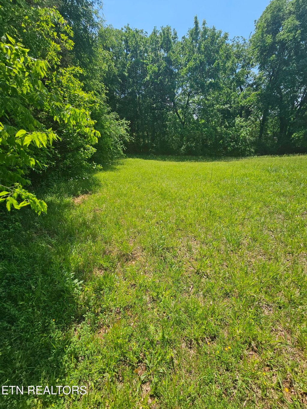 Photo of Indian Shadows Drive, Maryville, TN 37801 (MLS # 1306757)