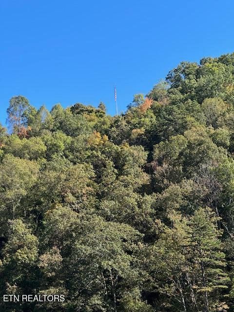 Photo of 137 Ogana Way, Loudon, TN 37774 (MLS # 1339717)