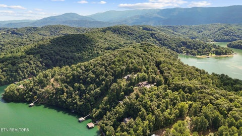 Tiny photo for 552 Fox Ridge Lane, Caryville, TN 37714 (MLS # 1351162)