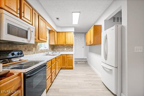 Tiny photo for 318 Springfield Drive, LaFollette, TN 37766 (MLS # 1338301)