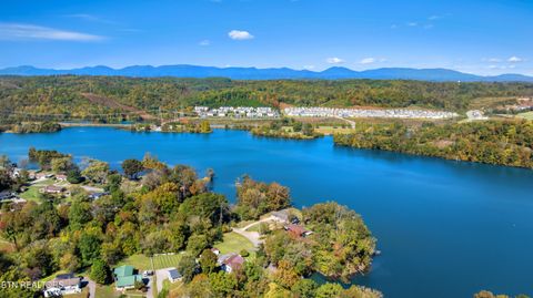 Tiny photo for 8115 River Drive, Oak Ridge, TN 37830 (MLS # 1318880)