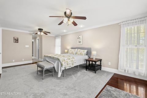 Tiny photo for 8115 River Drive, Oak Ridge, TN 37830 (MLS # 1318880)