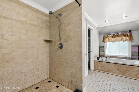 Tiny photo for 8115 River Drive, Oak Ridge, TN 37830 (MLS # 1318880)