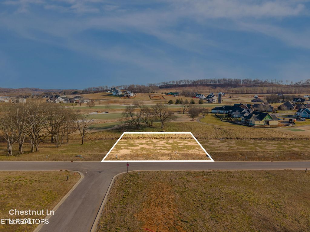 Photo of 3014 Chestnut Lane, Loudon, TN 37774 (MLS # 1329068)