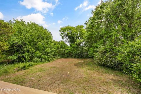 Tiny photo for 1612 Vermont Ave, Knoxville, TN 37921 (MLS # 1339843)