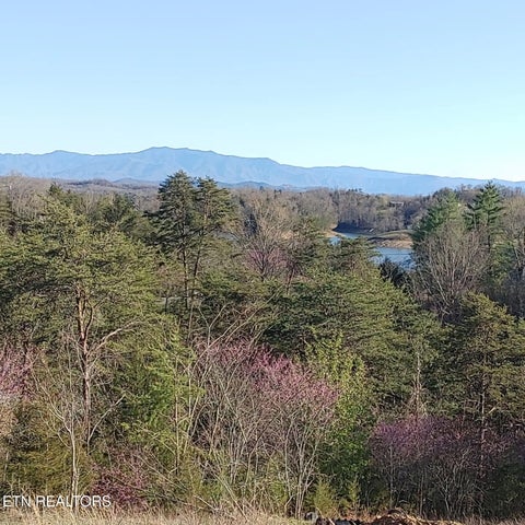 Tiny photo for 2055 Scott St, Sevierville, TN 37876 (MLS # 1343799)