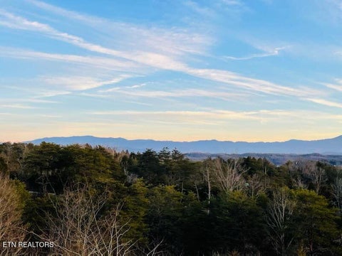 Tiny photo for 2055 Scott St, Sevierville, TN 37876 (MLS # 1343799)