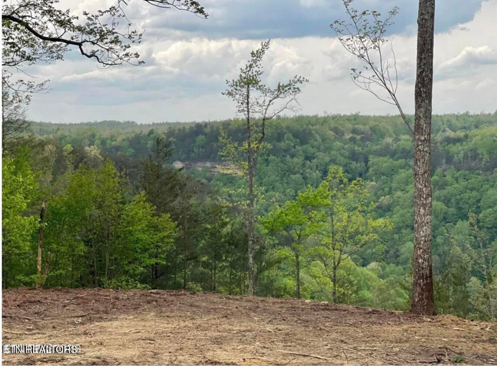 Photo of 0 Grandview Way, Jamestown, TN 38556 (MLS # 1359474)