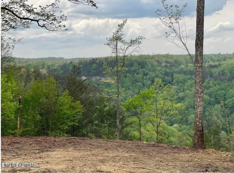 Tiny photo for 0 Grandview Way, Jamestown, TN 38556 (MLS # 1359474)