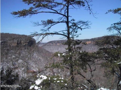 Tiny photo for 0 Grandview Way, Jamestown, TN 38556 (MLS # 1359474)