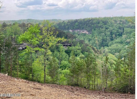 Tiny photo for 0 Grandview Way, Jamestown, TN 38556 (MLS # 1359474)