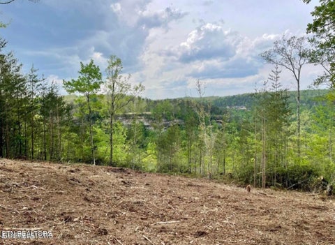 Tiny photo for 0 Grandview Way, Jamestown, TN 38556 (MLS # 1359474)