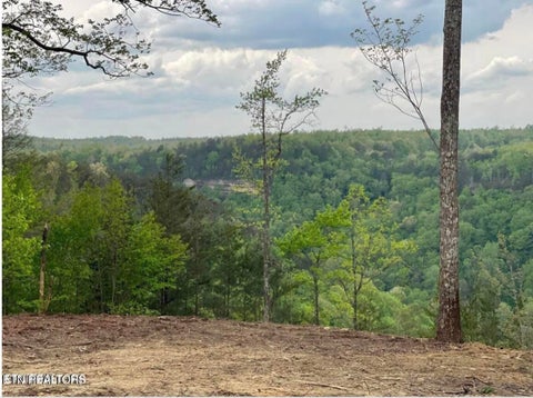 Tiny photo for 0 Grandview Way, Jamestown, TN 38556 (MLS # 1359474)
