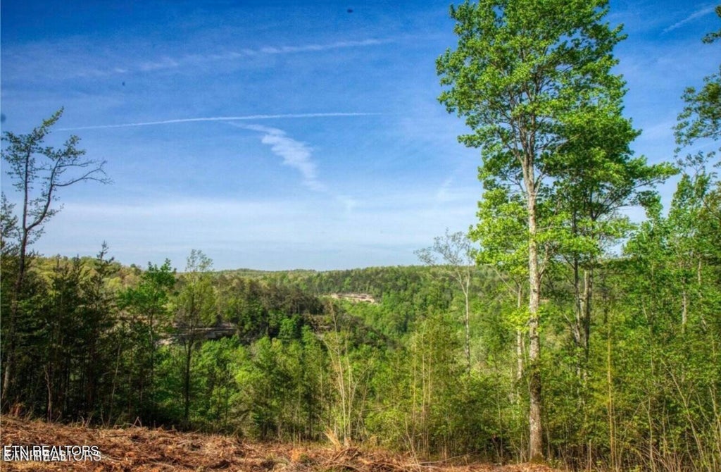 Photo of 0 Grandview Way, Jamestown, TN 38556 (MLS # 1359474)