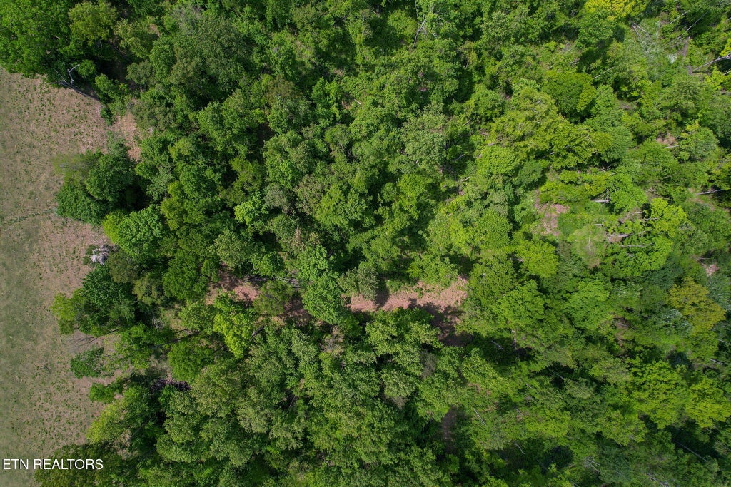 Photo of Cove Point Rd, LaFollette, TN 37766 (MLS # 1338671)