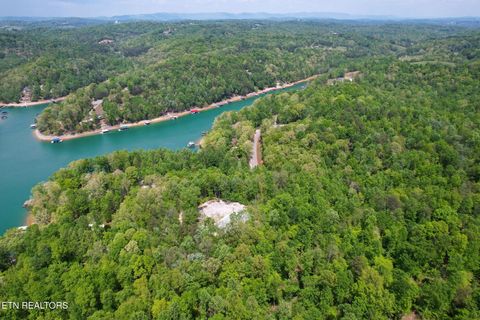 Photo of Cove Point Rd, LaFollette, TN 37766 (MLS # 1338671)