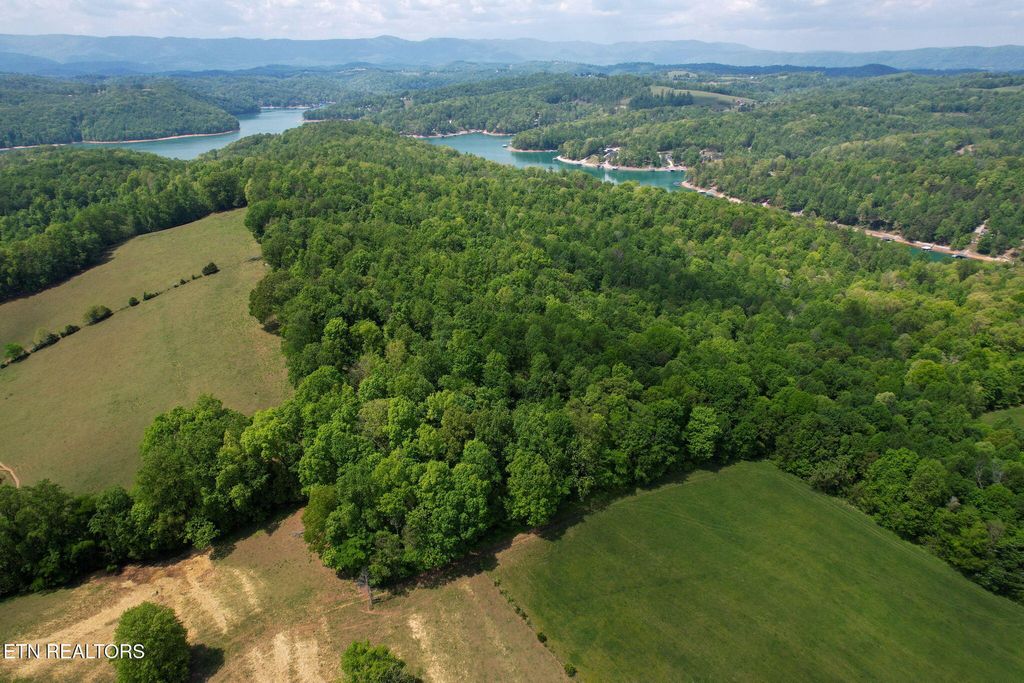 Photo of Cove Point Rd, LaFollette, TN 37766 (MLS # 1338671)