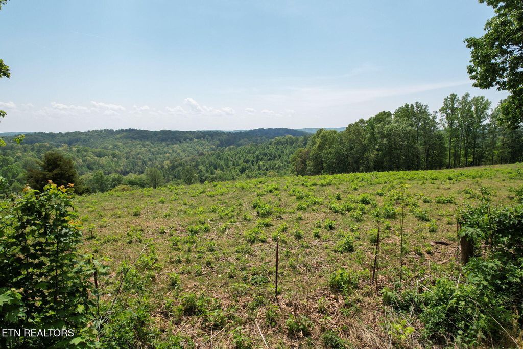 Photo of Cove Point Rd, LaFollette, TN 37766 (MLS # 1338671)