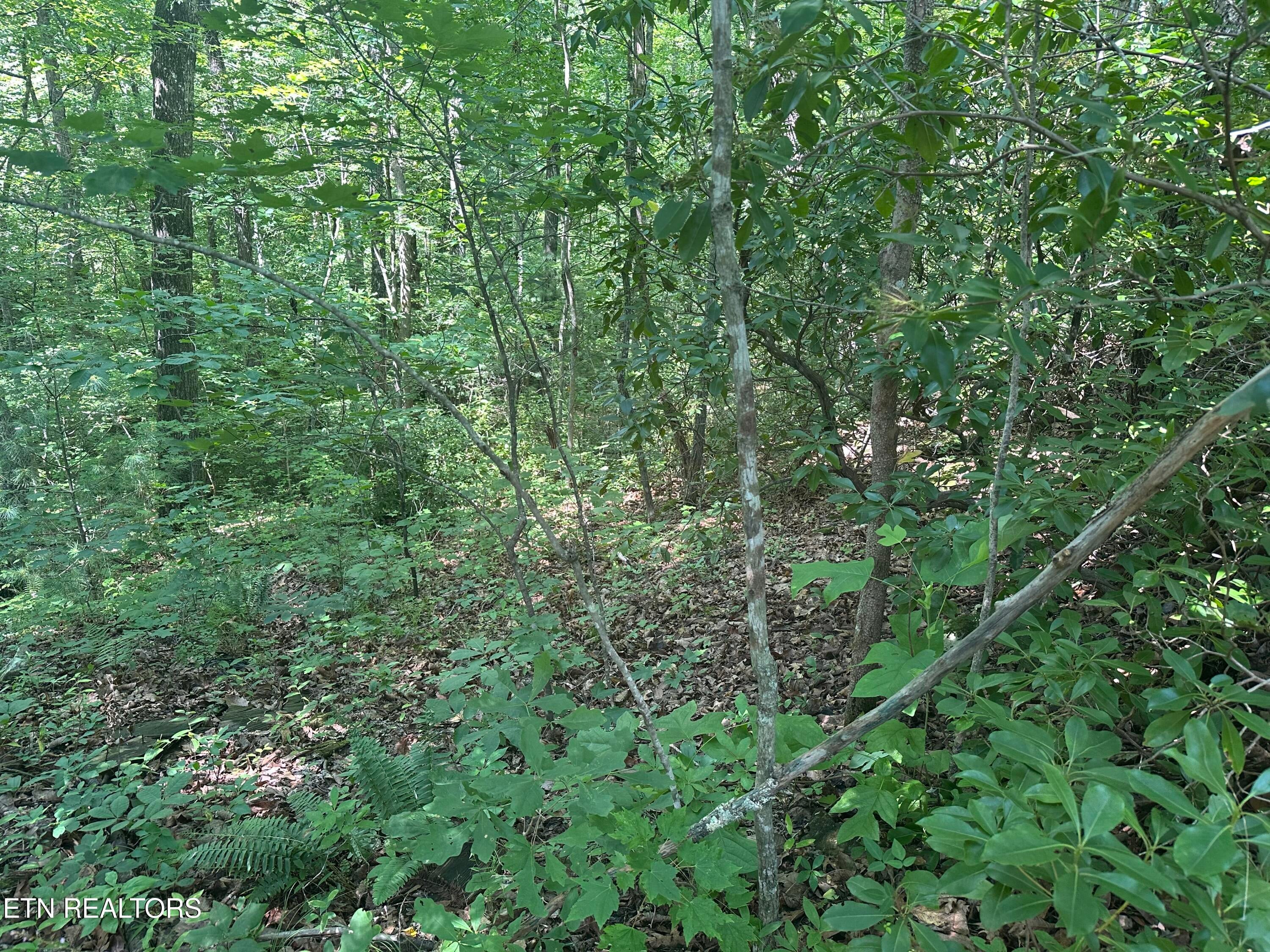 609 Saint George Drive