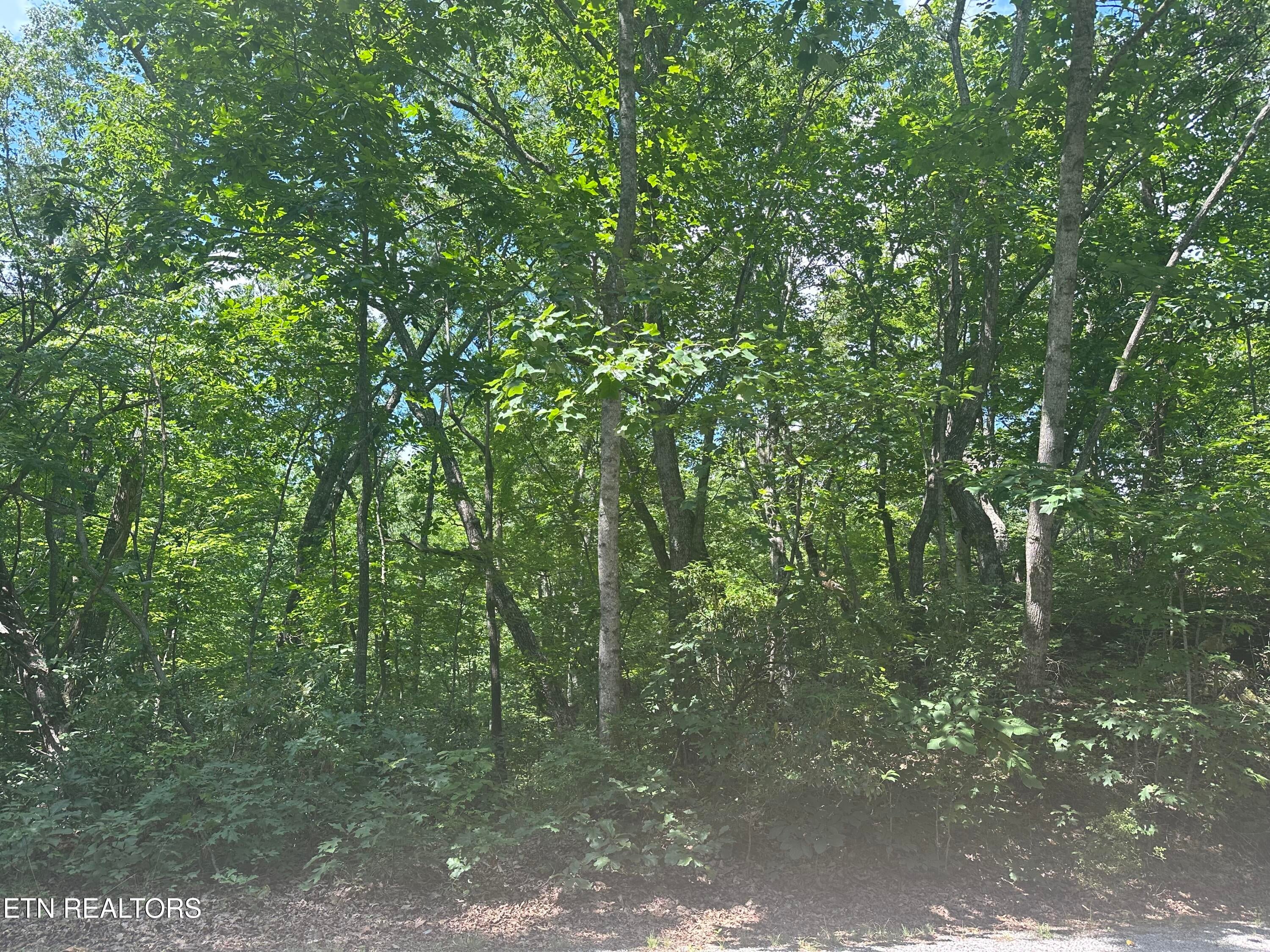 609 Saint George Drive