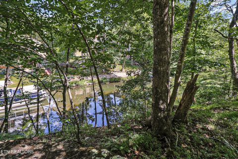 Tiny photo for 159 Ivy Brook Lane, Crossville, TN 38558 (MLS # 1343314)