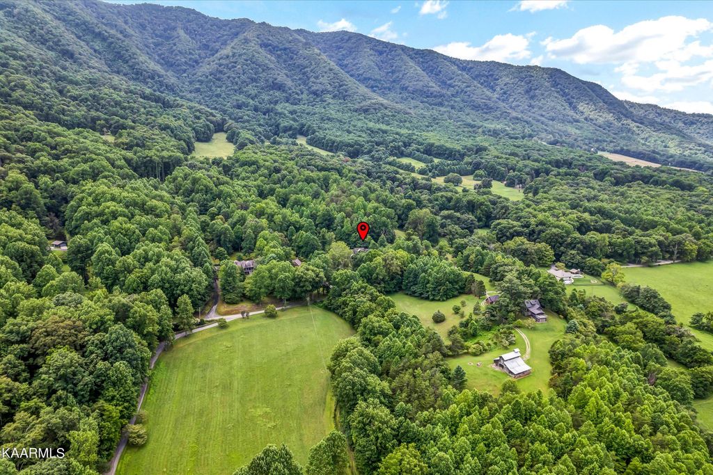 Photo of 1242 Schoolhouse Gap Rd, Townsend, TN 37882 (MLS # 1234095)