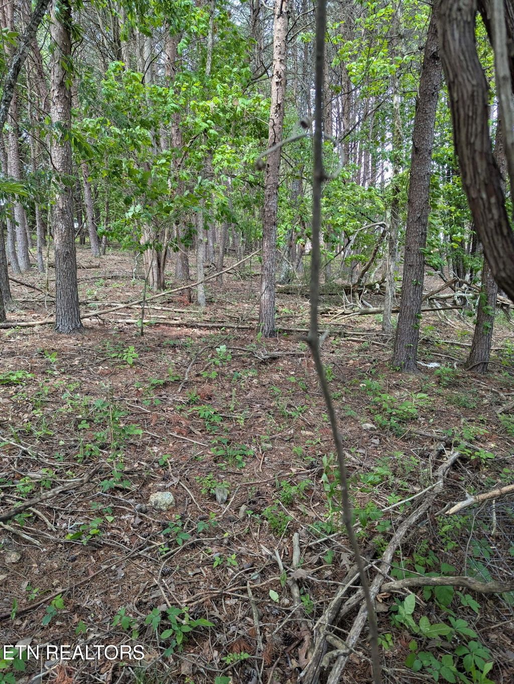 Photo of 8 Foster Road, Blaine, TN 37709 (MLS # 1299469)