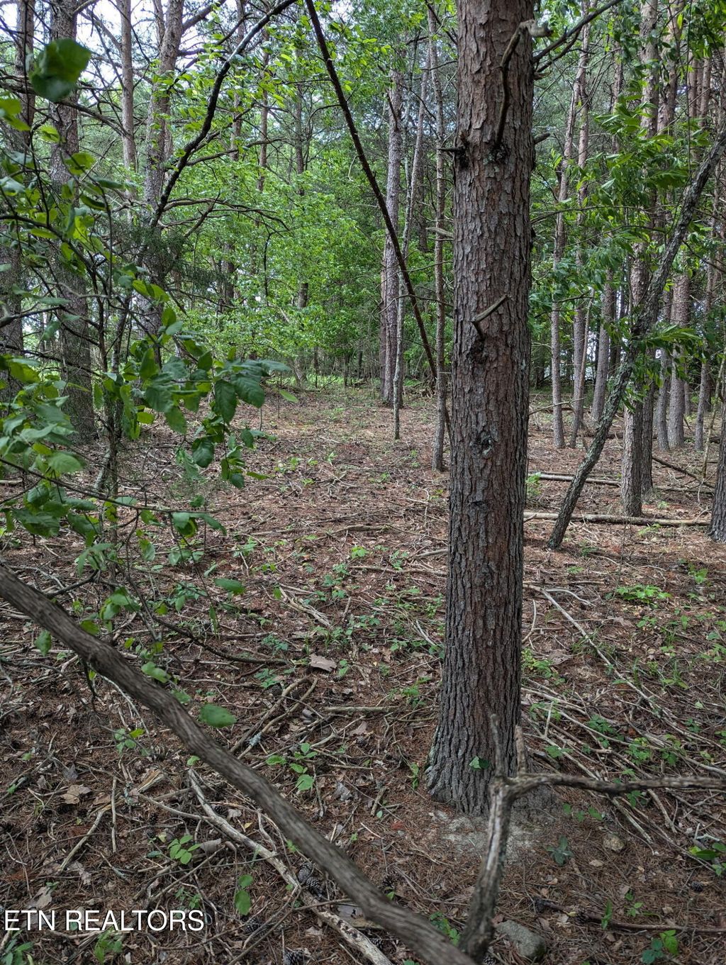 Photo of 8 Foster Road, Blaine, TN 37709 (MLS # 1299469)