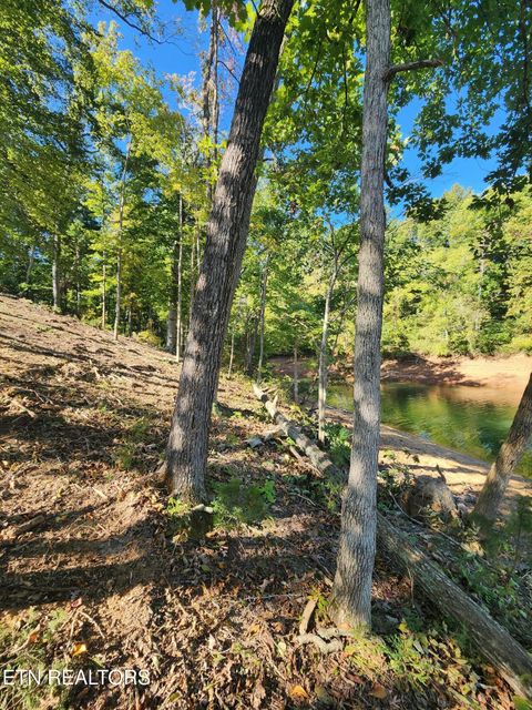 Tiny photo for 36 Bridgewater Pointe Blvd, Morristown, TN 37816 (MLS # 1317598)