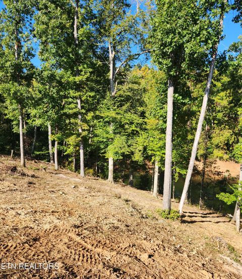 Tiny photo for 36 Bridgewater Pointe Blvd, Morristown, TN 37816 (MLS # 1317598)