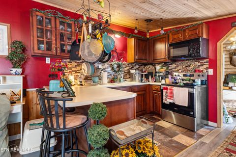 Tiny photo for 336 Speers Rd, Kingston, TN 37763 (MLS # 1347822)