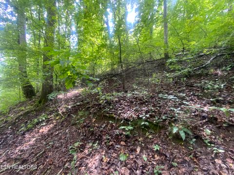 Lot 64 Hiwassee View Drive Jacksboro TN 37757