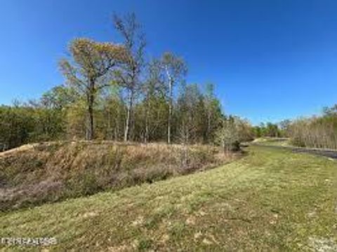 Photo of 391 Thief Neck View Drive, Rockwood, TN 37854 (MLS # 1328324)