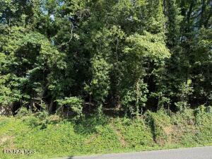 Photo of 89 Edgewater Ave, Dayton, TN 37321 (MLS # 1355564)