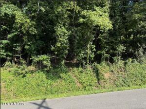 Photo of 89 Edgewater Ave, Dayton, TN 37321 (MLS # 1355564)