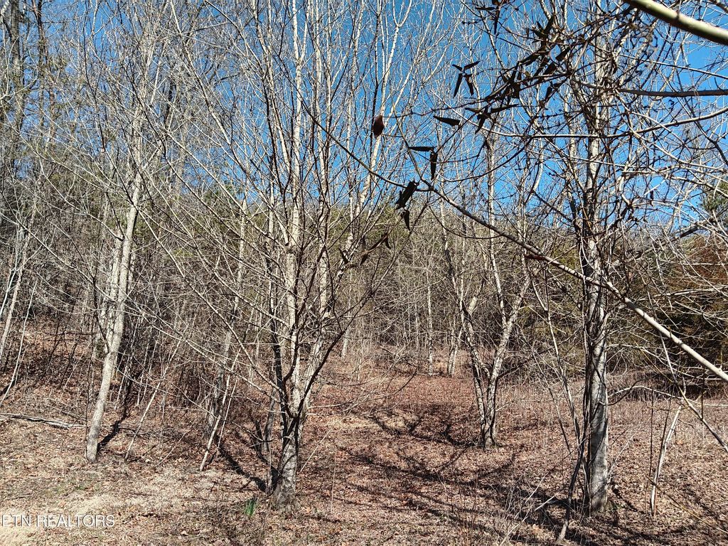 Photo of 0 Crackers Neck Rd, Washburn, TN 37888 (MLS # 1253862)