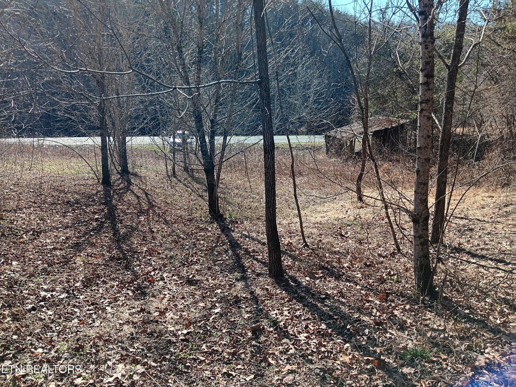 Photo of 0 Crackers Neck Rd, Washburn, TN 37888 (MLS # 1253862)