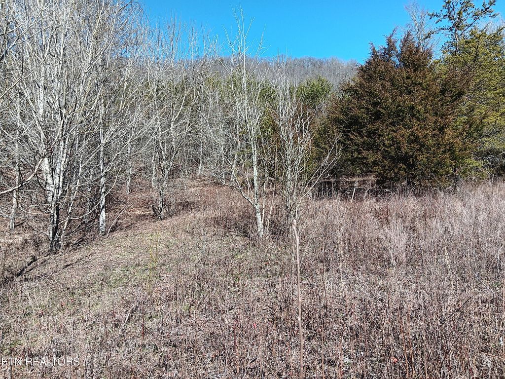 Photo of 0 Crackers Neck Rd, Washburn, TN 37888 (MLS # 1253862)