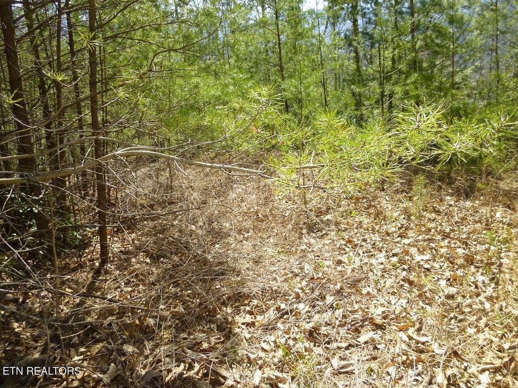 Photo of 2425 Sonshine Ridge Rd, Cosby, TN 37722 (MLS # 1285664)