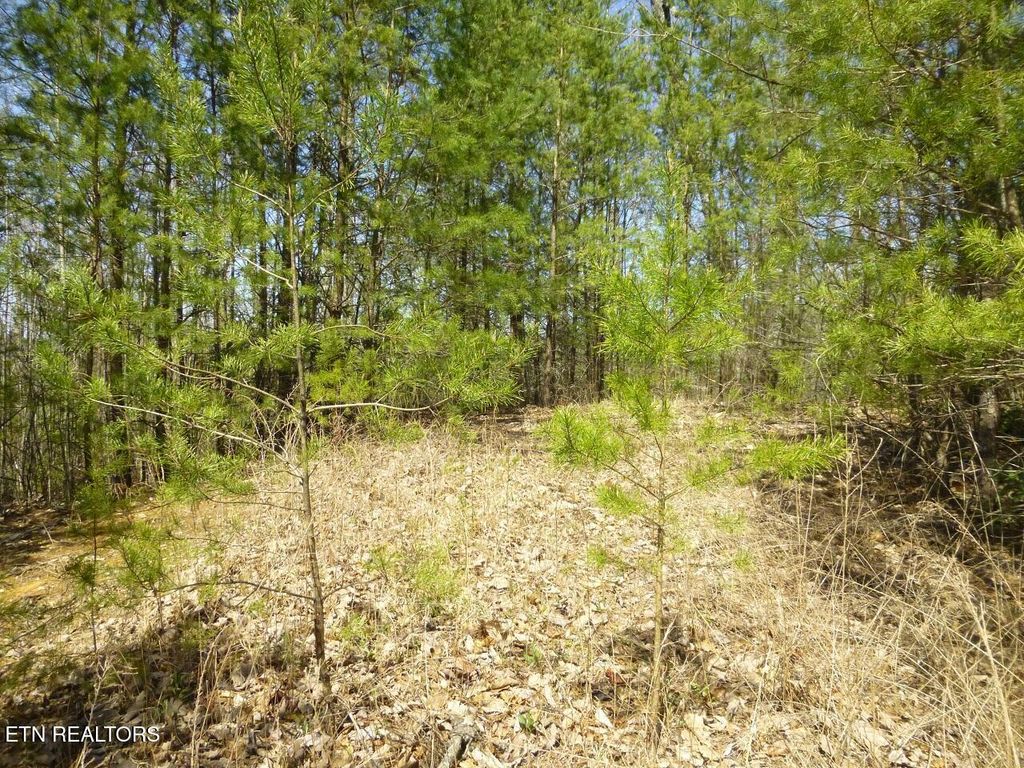 Photo of 2425 Sonshine Ridge Rd, Cosby, TN 37722 (MLS # 1285664)