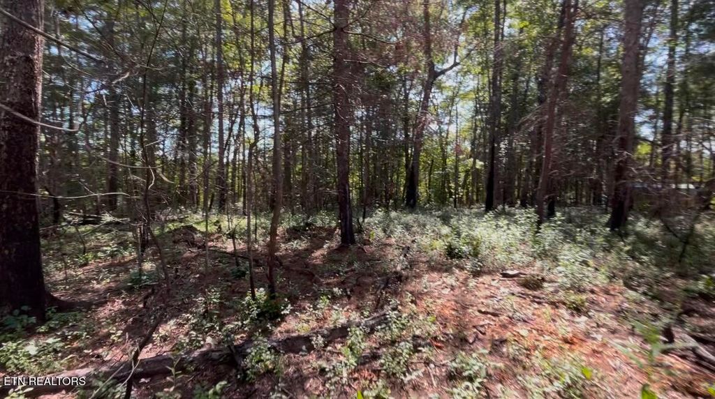 Photo of 241 Star Lake Way Way, Deer Lodge, TN 37726 (MLS # 1323221)