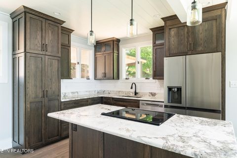 Tiny photo for 4042 Riverpoint Way, Louisville, TN 37777 (MLS # 1325677)