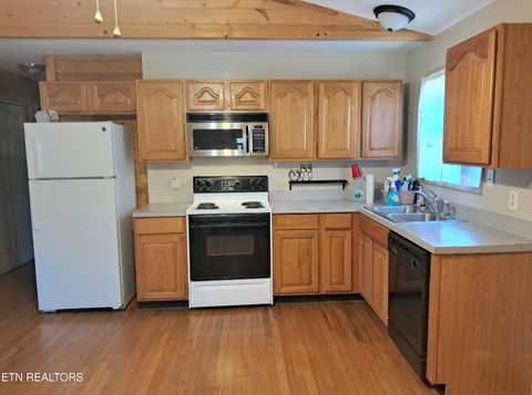 Tiny photo for 27452727 Cosby Hwy, Cosby, TN 37722 (MLS # 1325383)