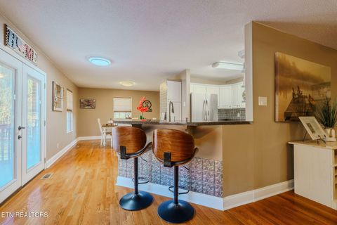 Tiny photo for 2823 Niles Ferry Rd, Vonore, TN 37885 (MLS # 1330054)