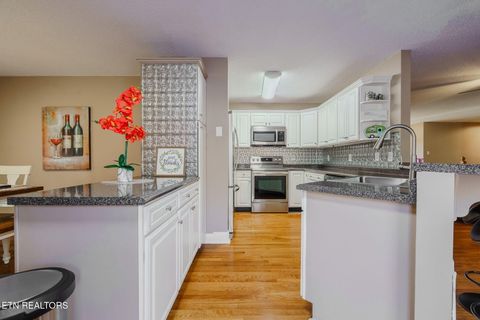 Tiny photo for 2823 Niles Ferry Rd, Vonore, TN 37885 (MLS # 1330054)