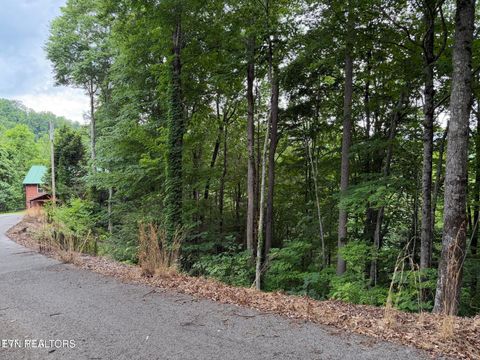 Photo of TBD High Top Loop, Sevierville, TN 37862 (MLS # 1343264)