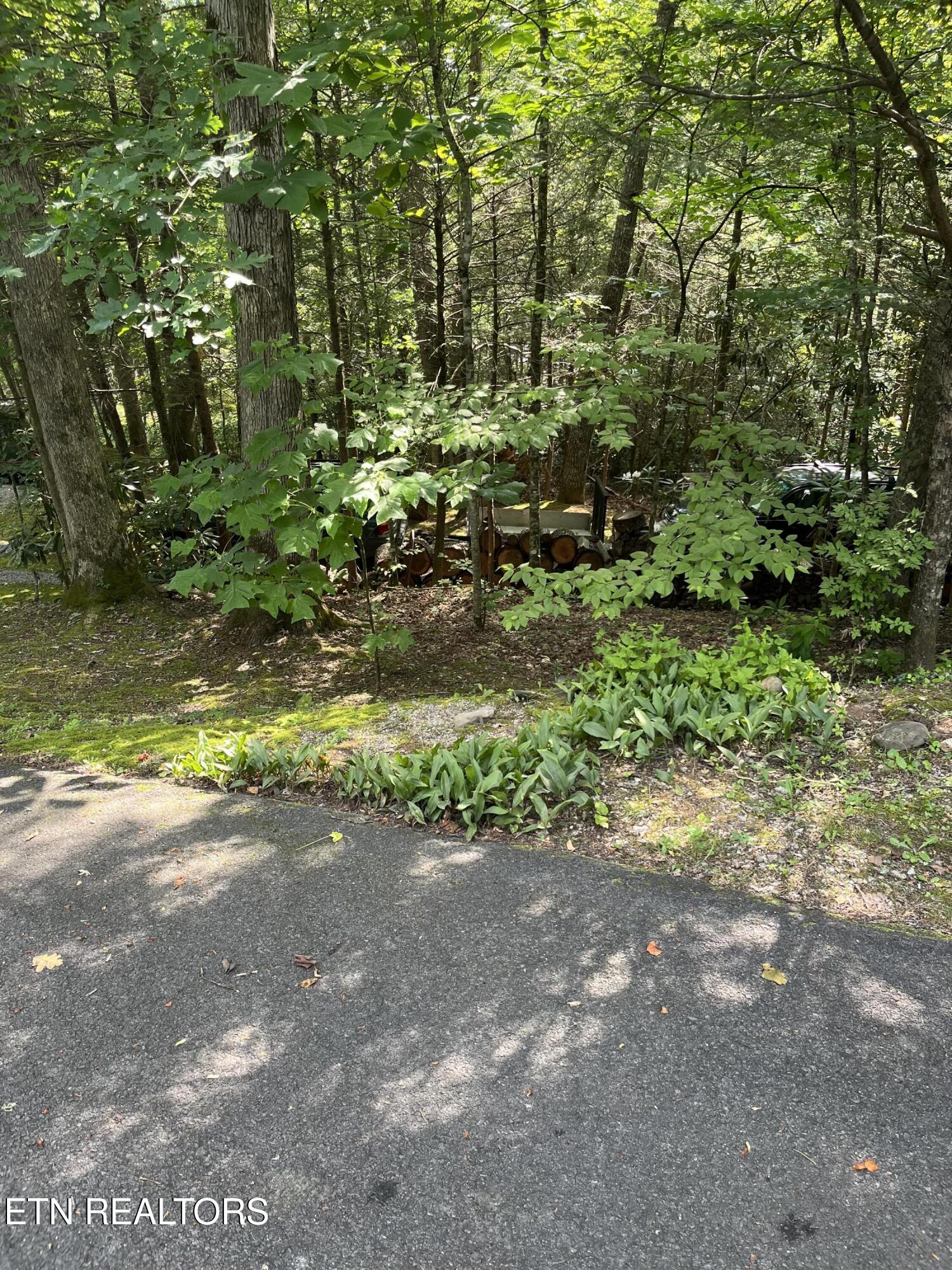 216 Mockingbird Drive