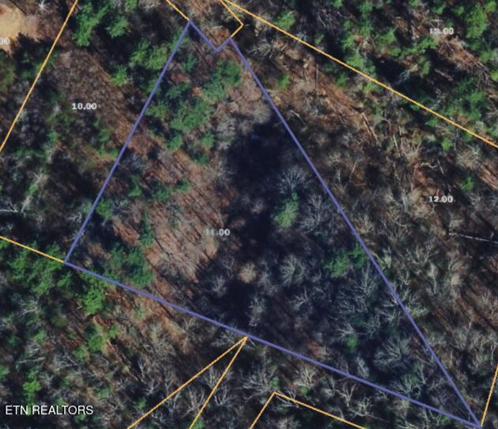 Photo of 251 Mine Hollow Rd, Reliance, TN 37369 (MLS # 1340776)