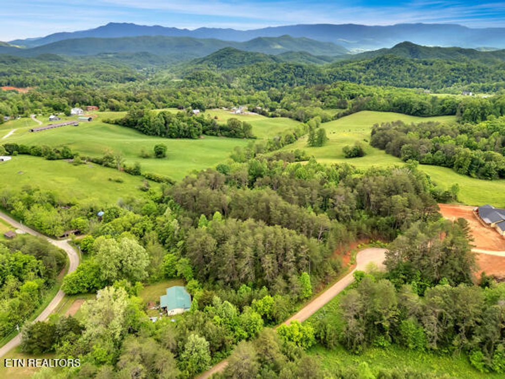 Photo of 22 Symphony Way, Newport, TN 37821 (MLS # 1299866)